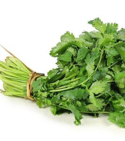 Cilantro.jpg