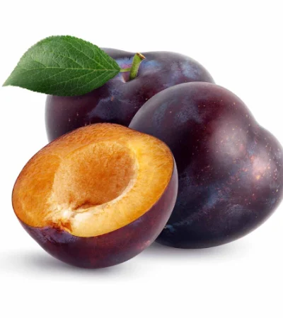 aliverys-ciruela-morada