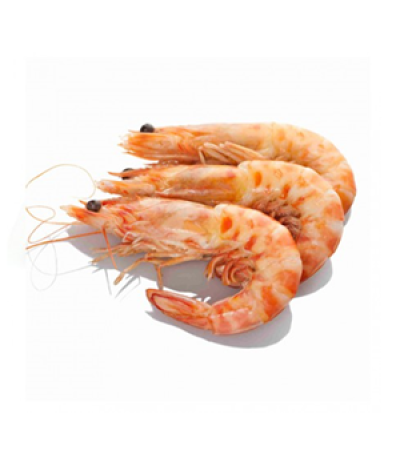 langostino.png