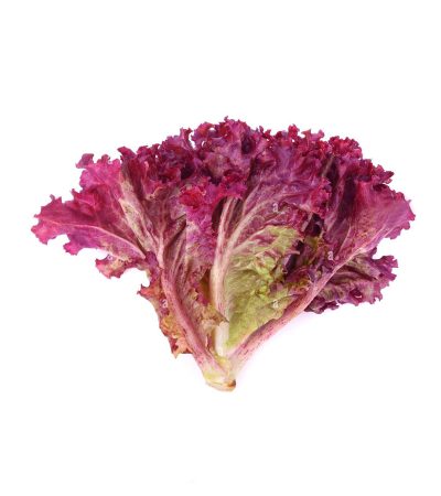 lechuga-morada.jpg