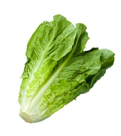 lechuga-roma.jpg