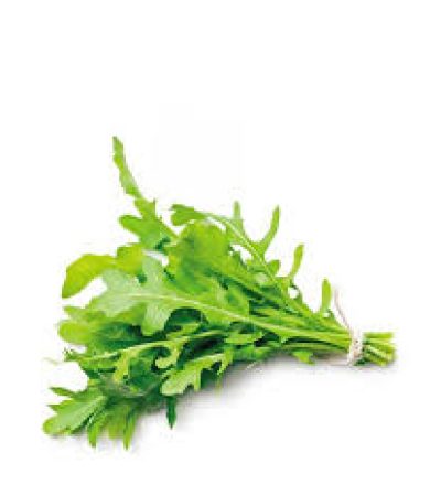 rugula